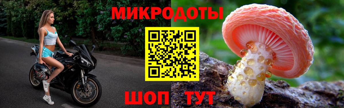 Псилоцибиновые грибы Psilocybine cubensis Большой Камень